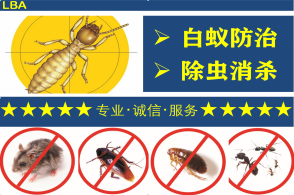 專業(yè)消殺除蟲除蟻 為您打造無蟲害的舒適家園